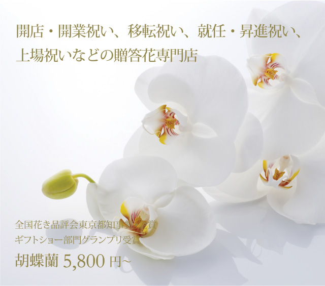 開店開業祝い、移転祝い、就任・昇進祝い、上場祝いなどビジネス贈答花を専門に500点以上の品揃えであなたの秘書として最適な花贈りをお手伝いします。