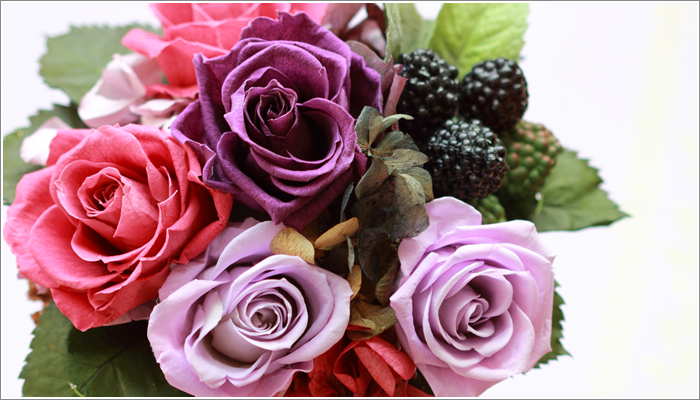 �v���U�[�u�h�t�����[�@�M�t�g�A�����W�����g