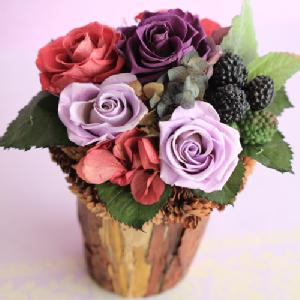 �v���U�[�u�h�t�����[�@BerryBerry