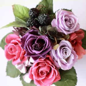 �v���U�[�u�h�t�����[�@BerryBerry