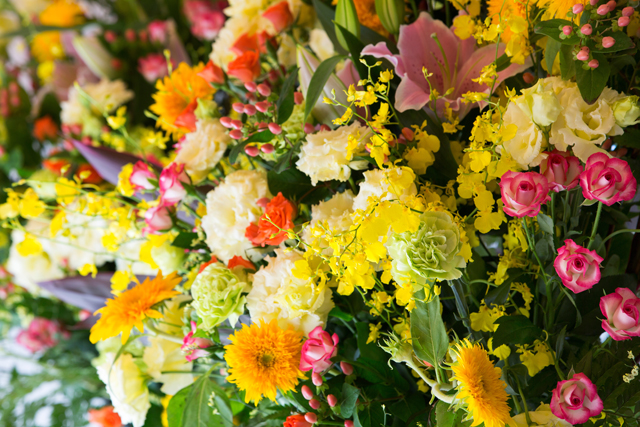 ����Ɏ���̂Ȃ����j���Ɂb�K���m���Ă������������̊�{�}�i�[