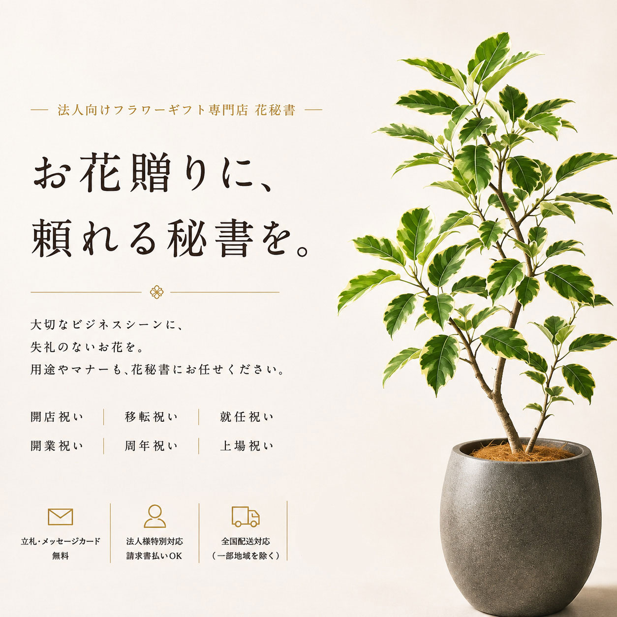 開店・移転・就任祝いに贈る観葉植物