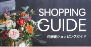 SHOPPING GUIDE