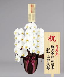 ���N�̂��j���ɐl�C�̃M�t�g�����p��