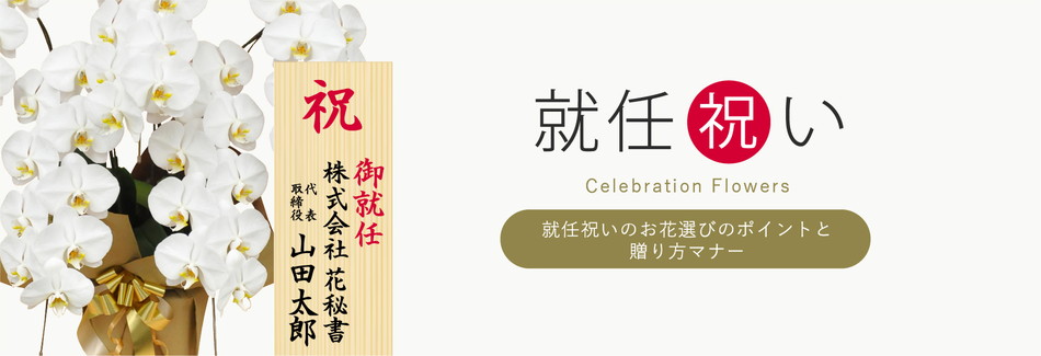 就任祝い(社長就任 昇進)