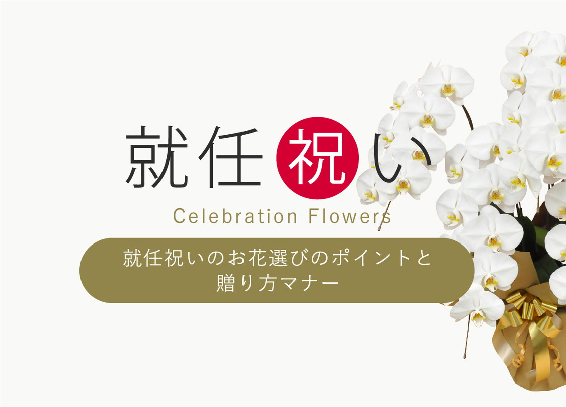 就任祝い(社長就任 昇進)