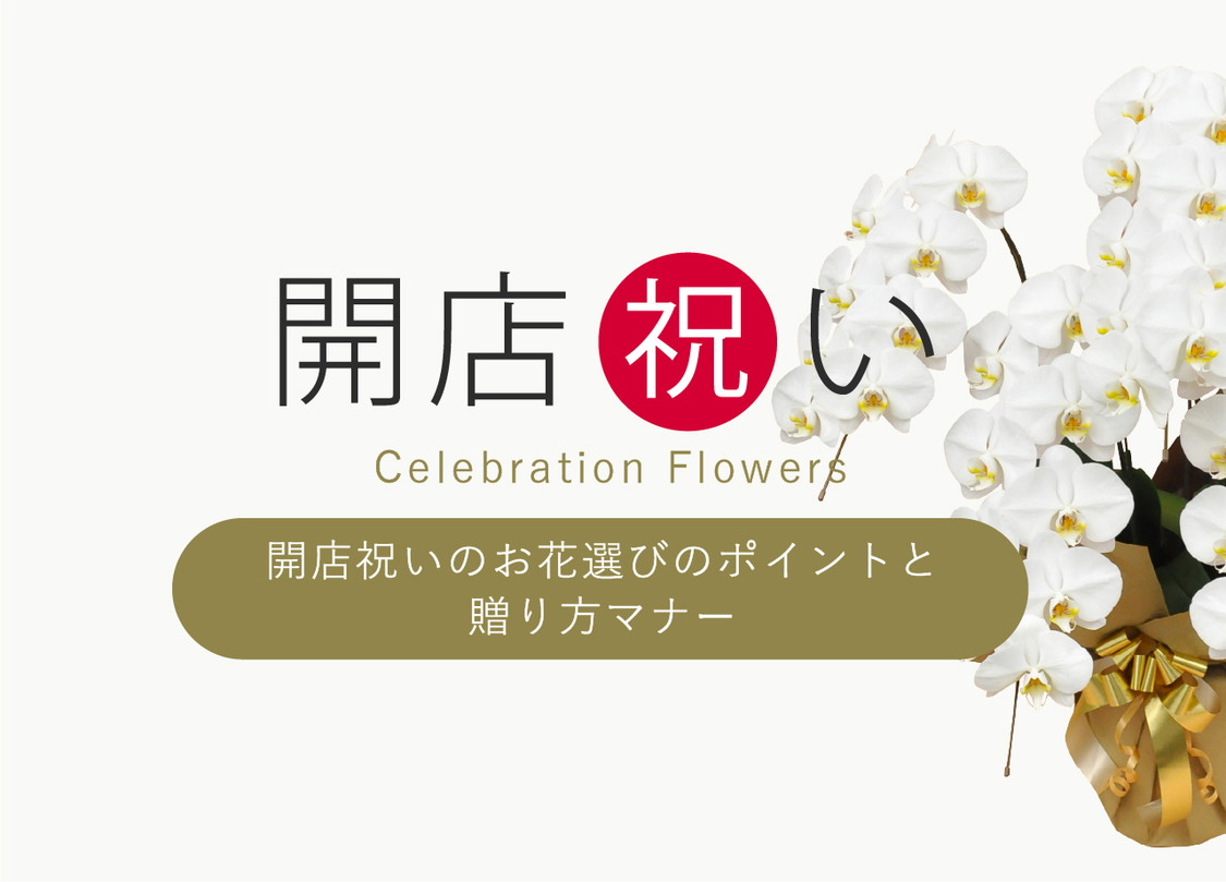 開店祝いのお花選びのポイントと贈り方マナー｜お祝い花の花秘書