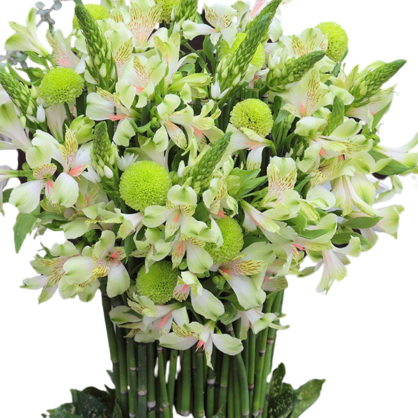 y23zzfUCi[YAWg[020006]