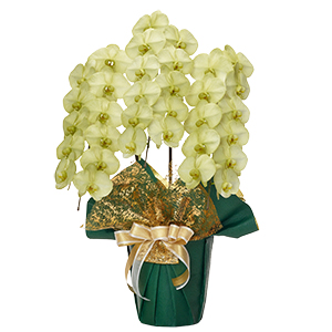 J[ӒuO XO[vi^^Cv 3f33gj