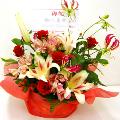 賀寿 「華寿」（還暦）のお祝い 赤色のお花メインのフラワーアレンジメント　10,500円