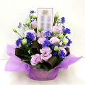 傘寿（80歳）のお祝い紫色のお花メインのアレンジメント5000