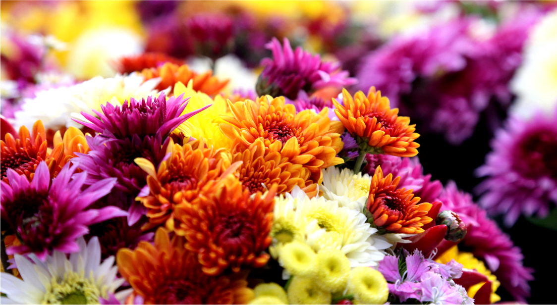 花束 お祝いに贈る花束や法人向けフラワーギフトなら花秘書