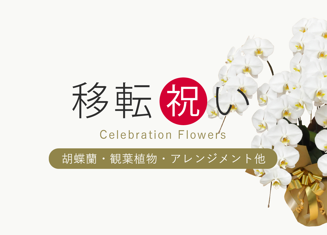 �ړ]�j���̂��j����