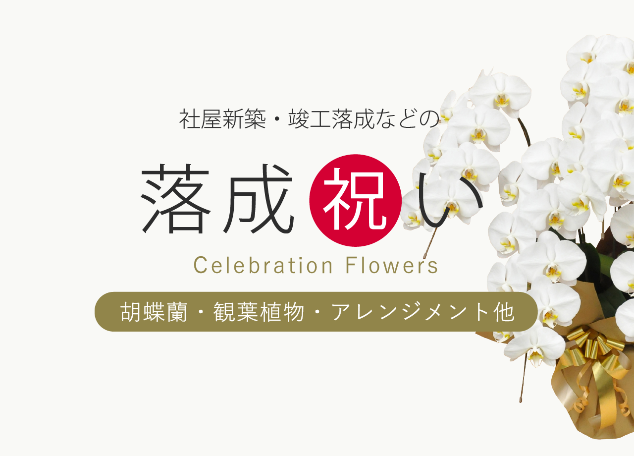 新社屋落成祝い（新築・竣工式）のお花や胡蝶蘭・観葉植物・アレンジメントなどお祝い花とマナーなら花秘書