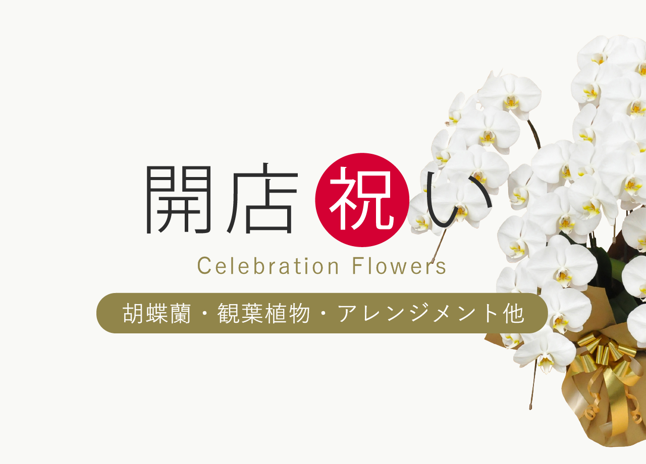 開店祝いのお花や胡蝶蘭・観葉植物・アレンジメントなどのお祝い花とマナーなら花秘書