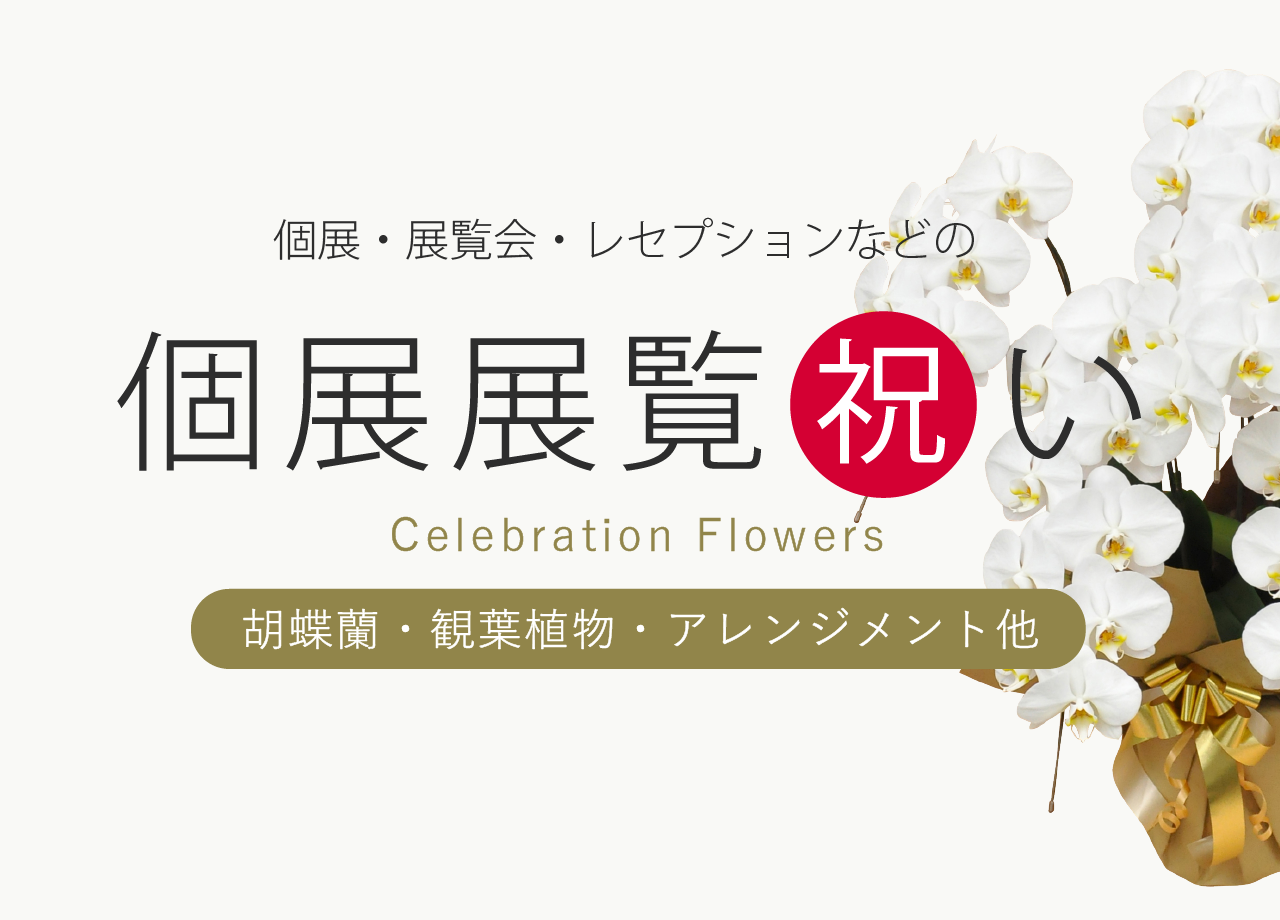 個展・展覧会祝いの花｜胡蝶蘭・会場直送・名札対応｜花秘書
